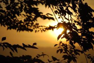 Where is my sunshine?