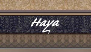 Haya